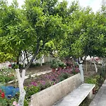 City Center & Near Lungomare Guest House